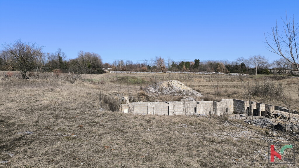 Image 6242977 - 3