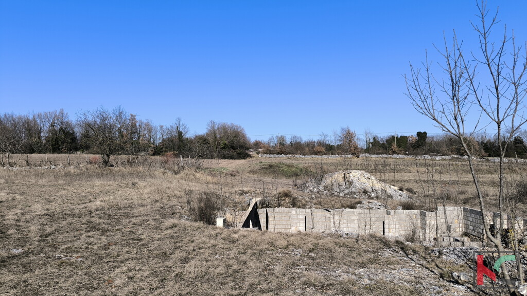 Image 6242977 - 5