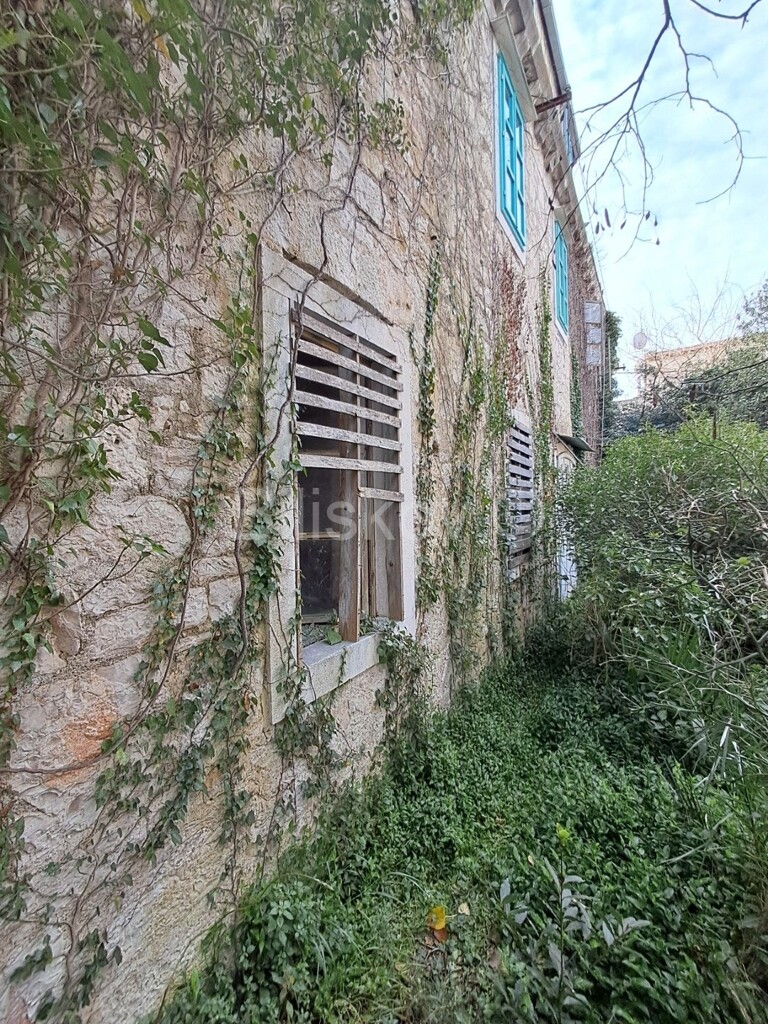 Image 6243028 - 6