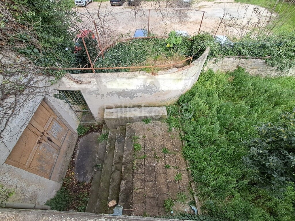 Image 6243028 - 19