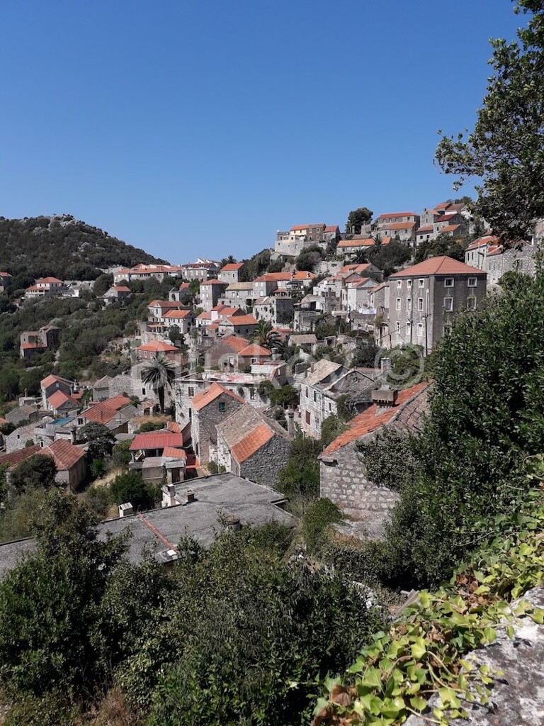 Image 6243033 - 1