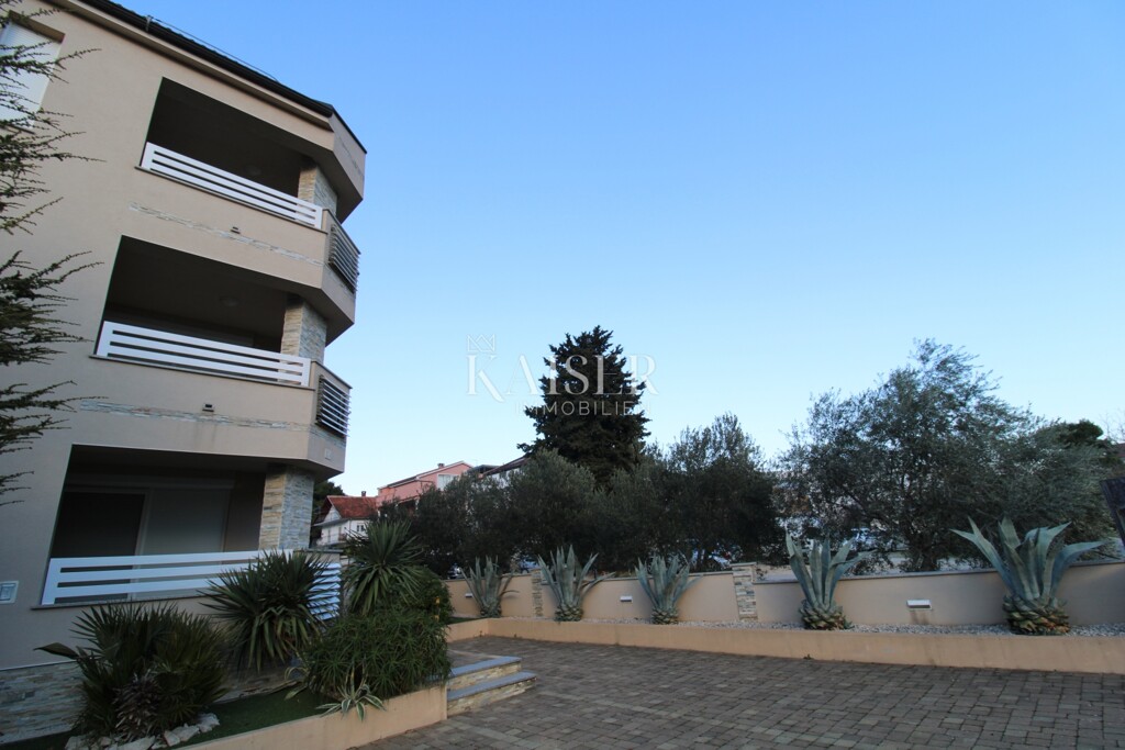 Image 6243078 - 2