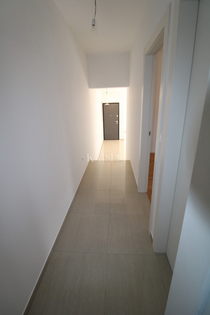 Image 6243079 - 6