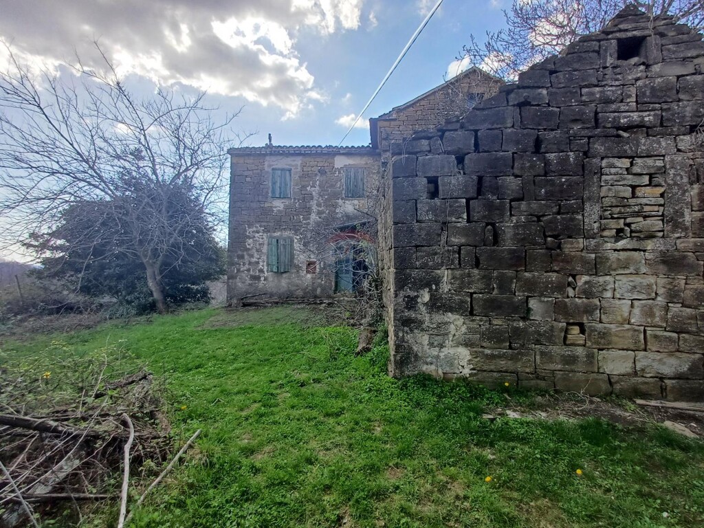 Image 6243149 - 2