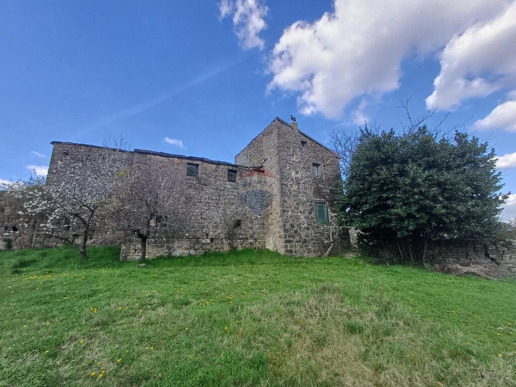 Image 6243149 - 5