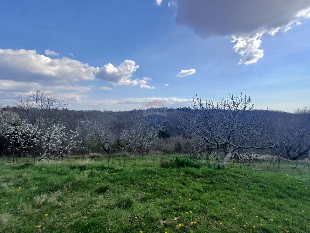 Image 6243149 - 9