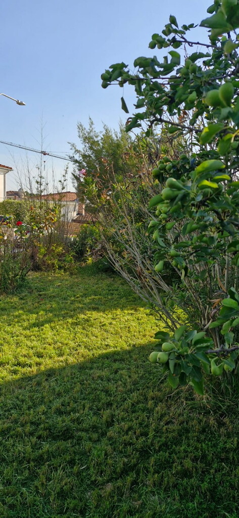Image 6243155 - 4