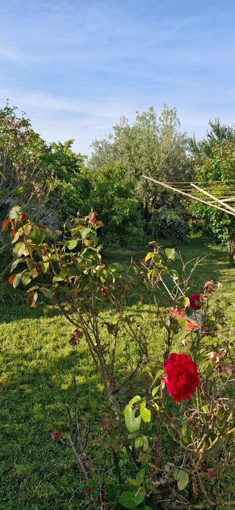 Image 6243155 - 6