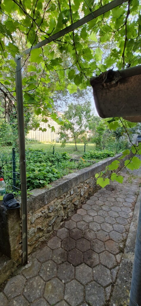 Image 6243155 - 7