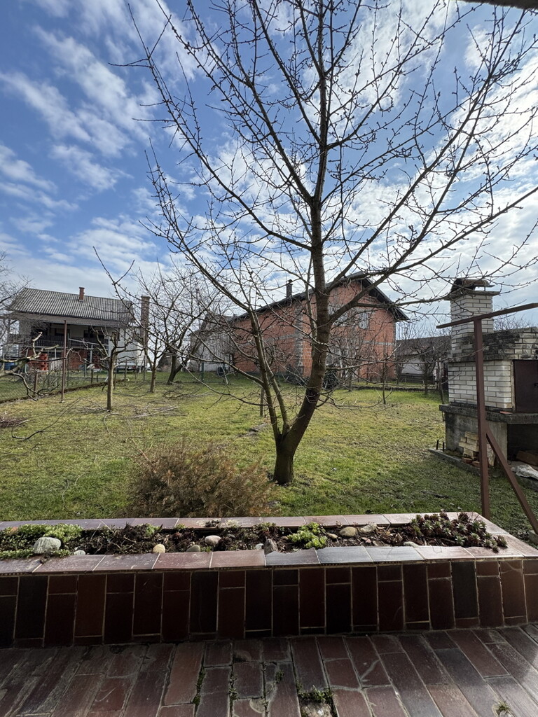 Image 6243156 - 25