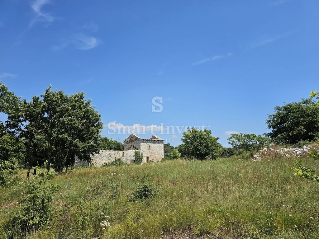 Image 6243351 - 1