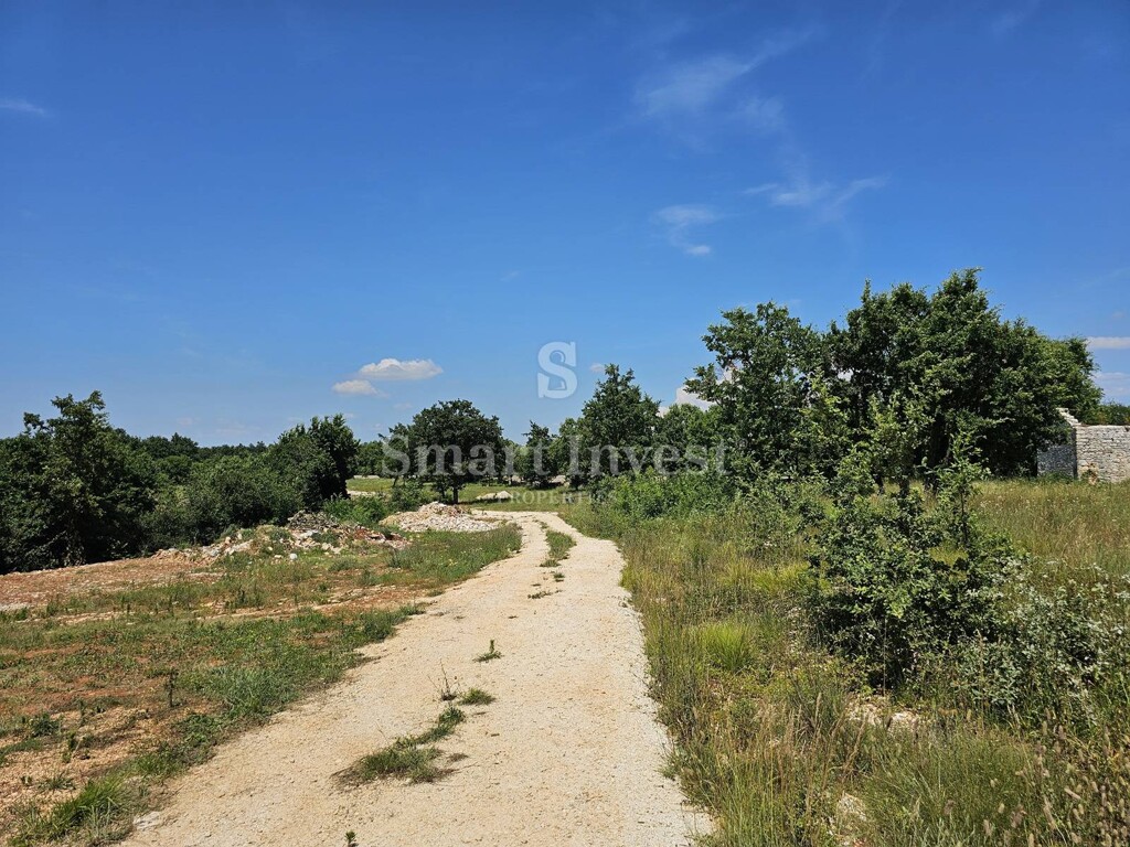 Image 6243351 - 7