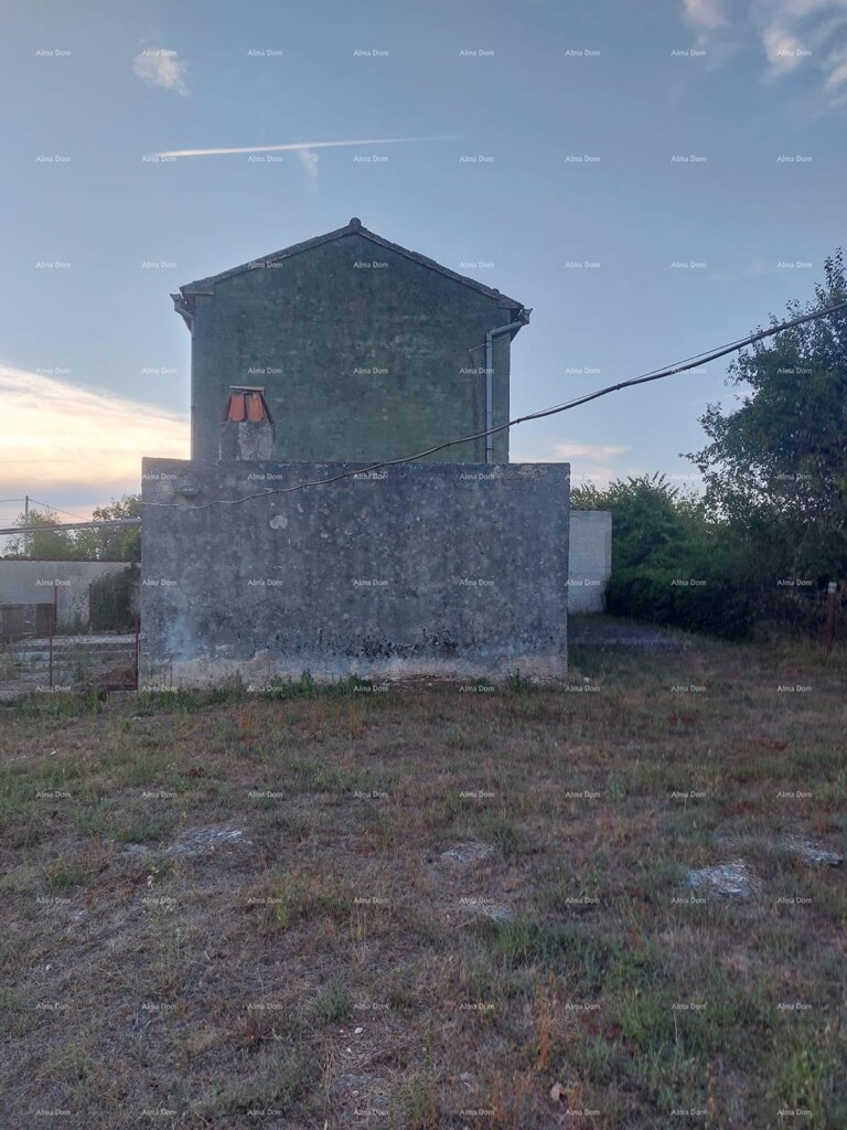 Image 6243360 - 2
