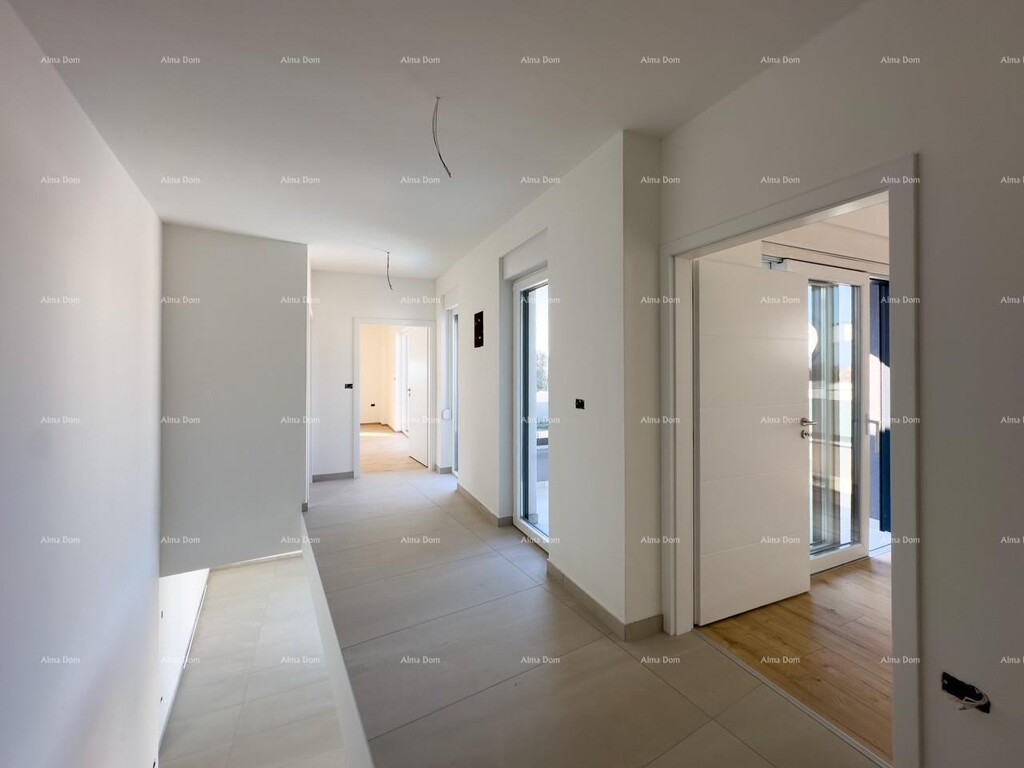 Image 6243361 - 25