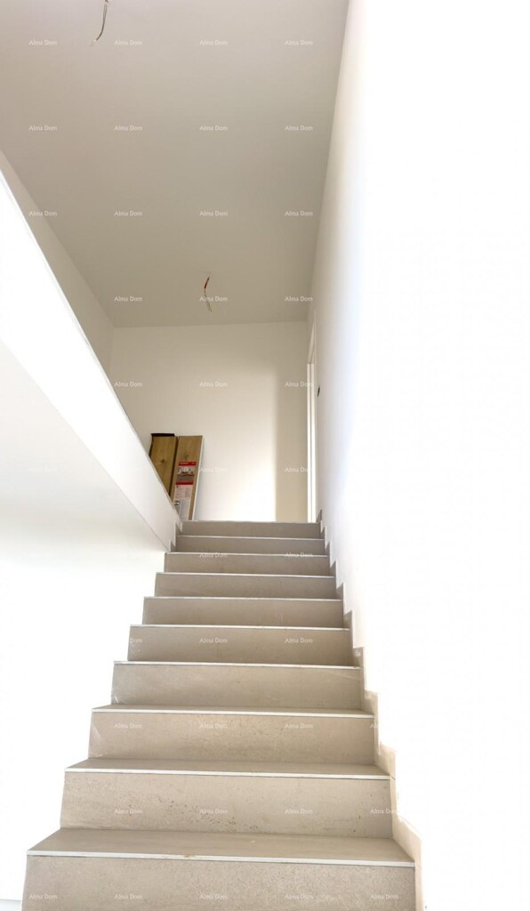 Image 6243361 - 21