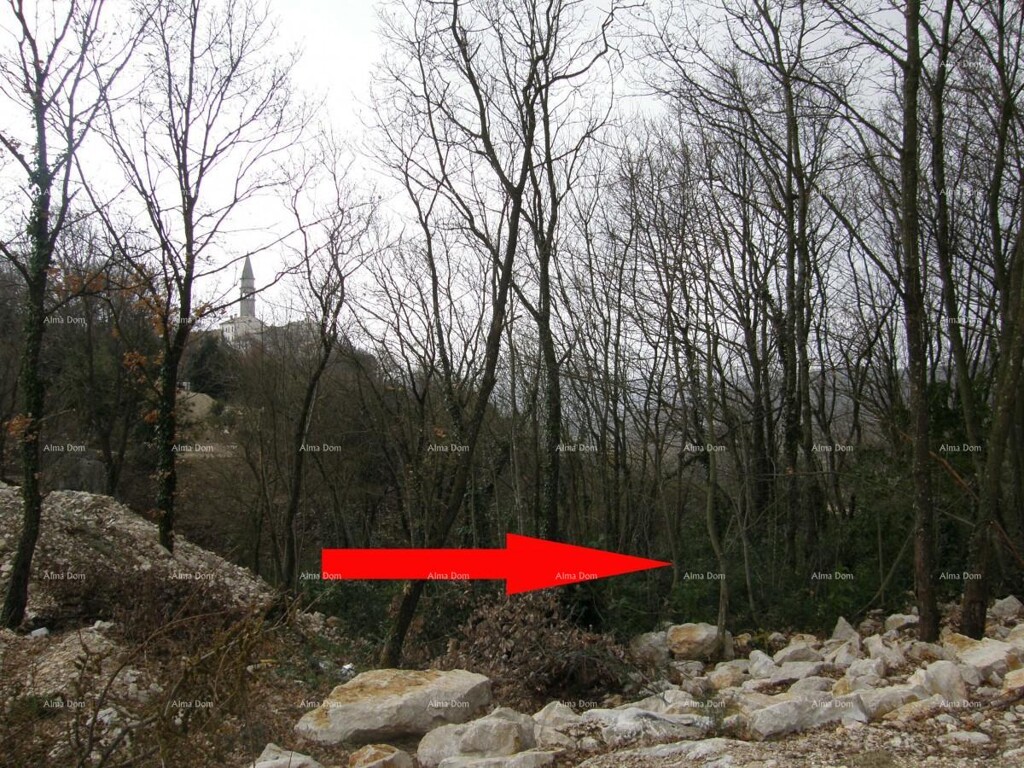 Image 6243370 - 3