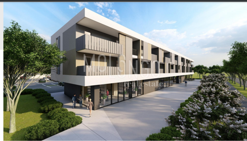 Thumbnail 6243453 - 5