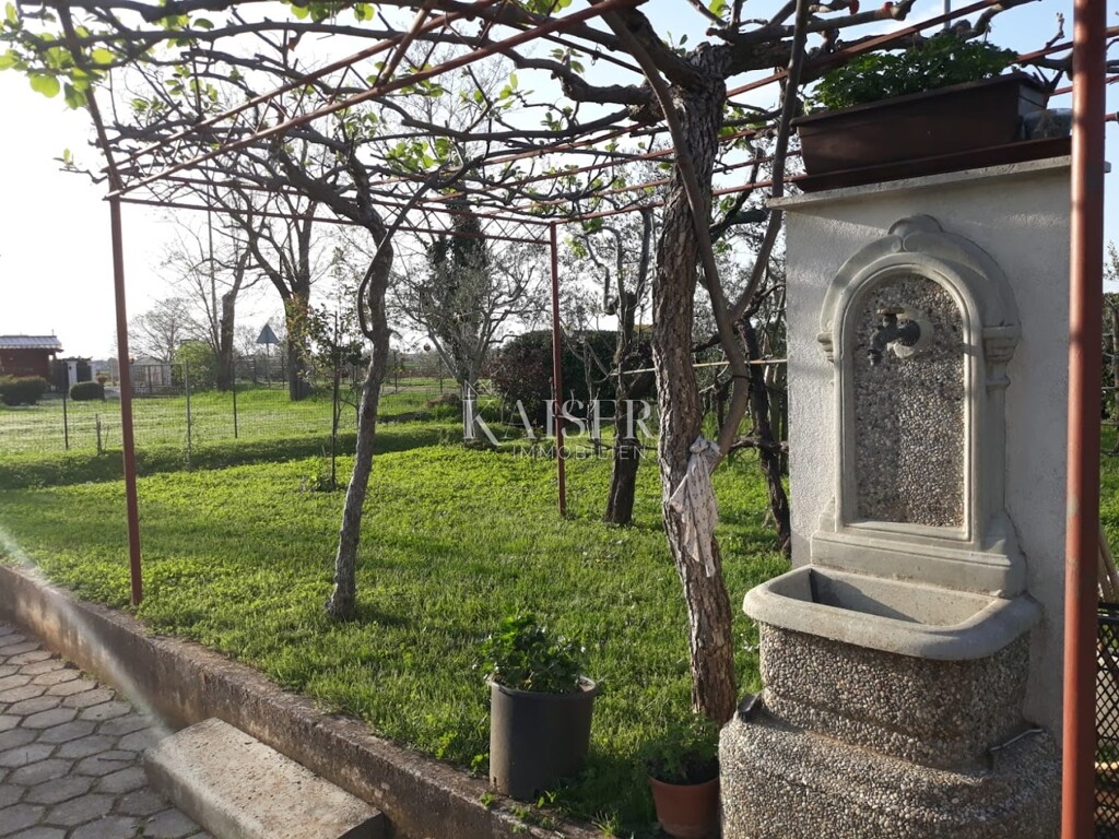 Image 6243455 - 10