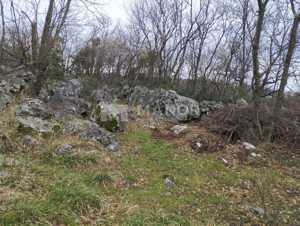 Image 6243465 - 3