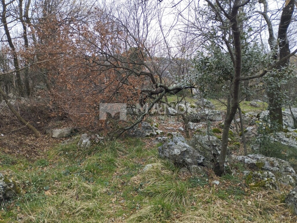 Image 6243465 - 2