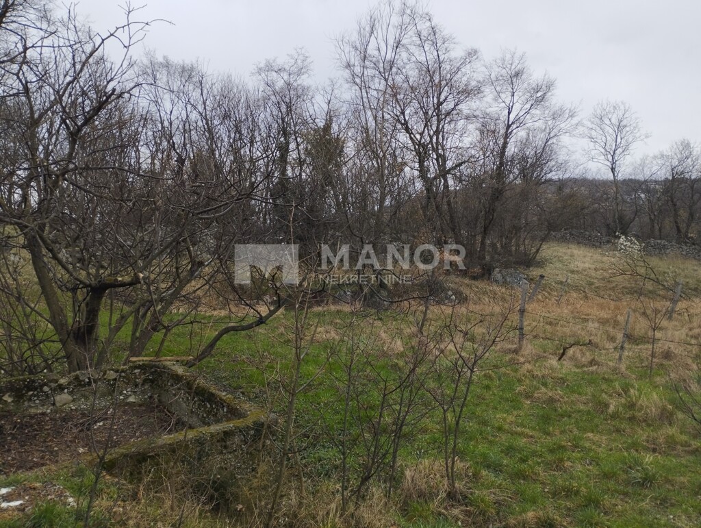 Image 6243465 - 1
