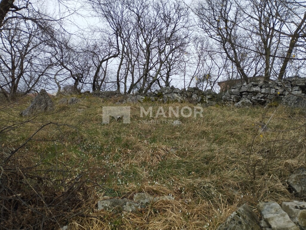 Image 6243465 - 4
