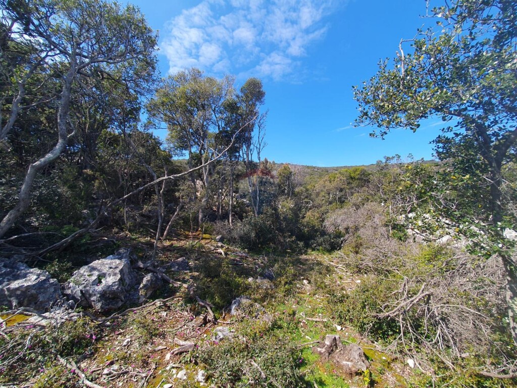 Image 6243470 - 7