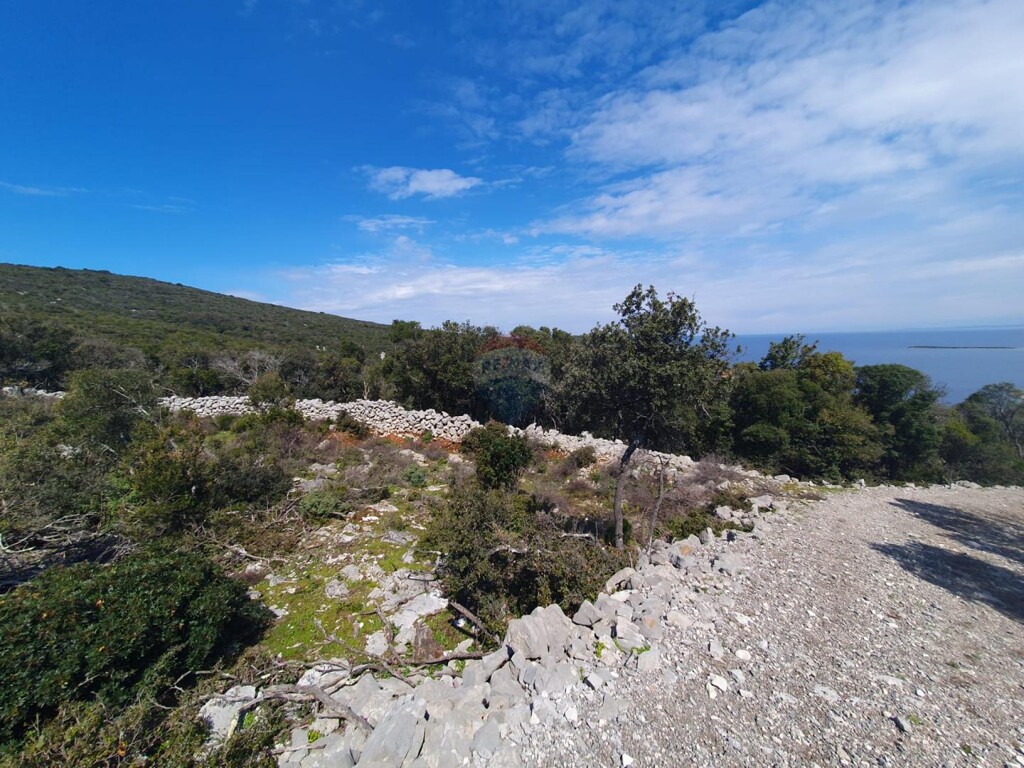 Image 6243470 - 4