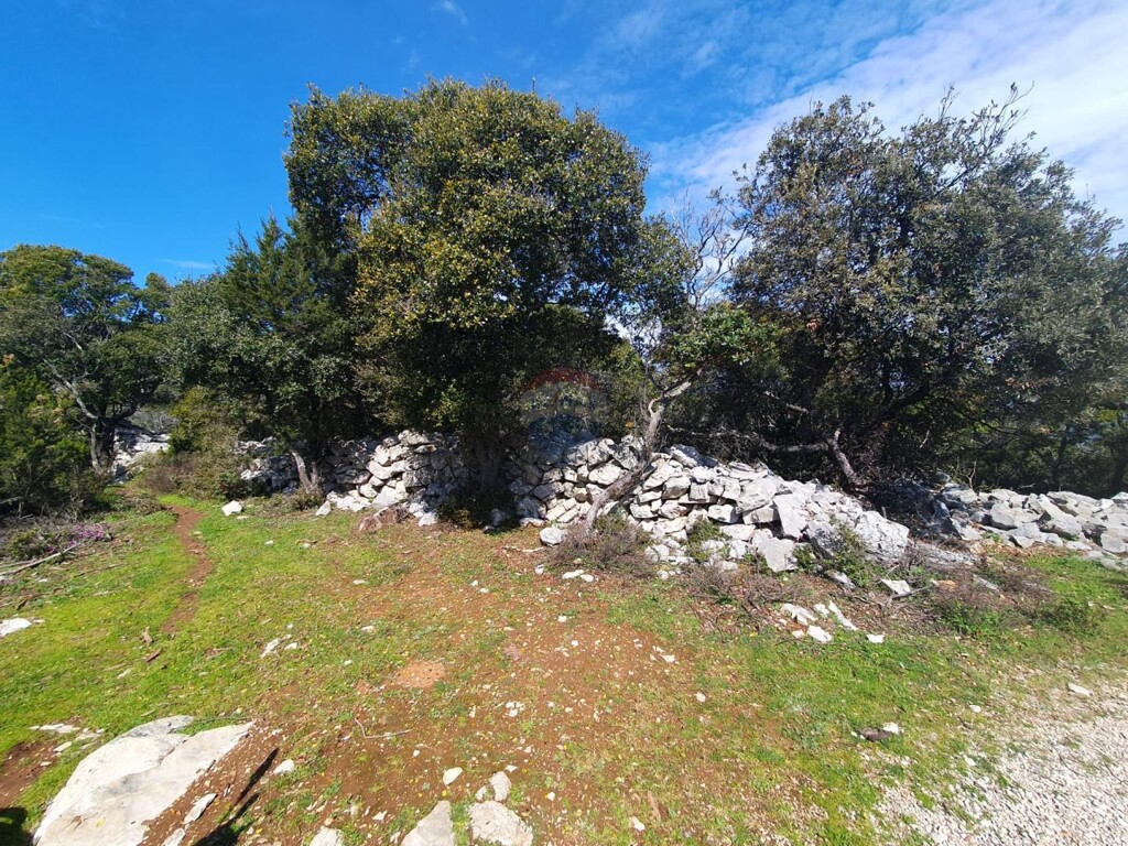 Image 6243470 - 6