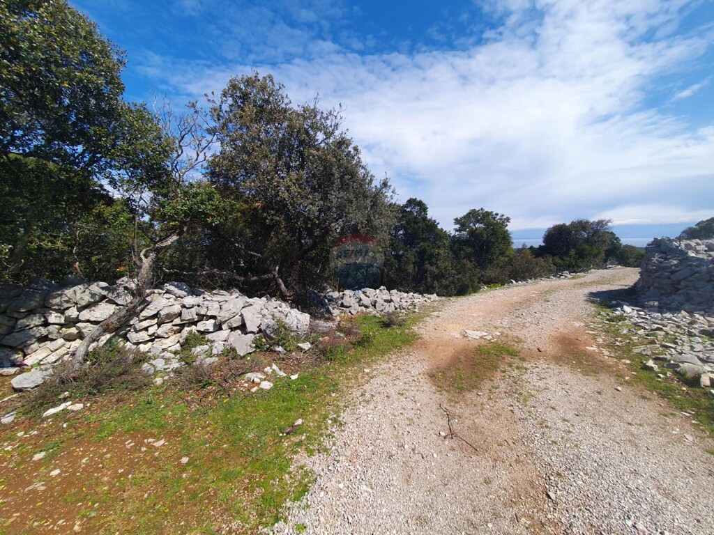Image 6243470 - 3