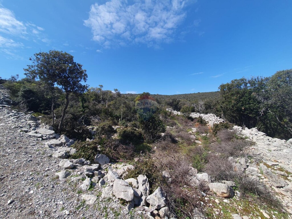 Image 6243470 - 2