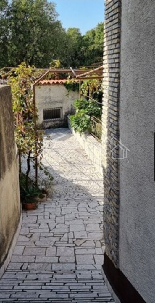 Image 6243483 - 4