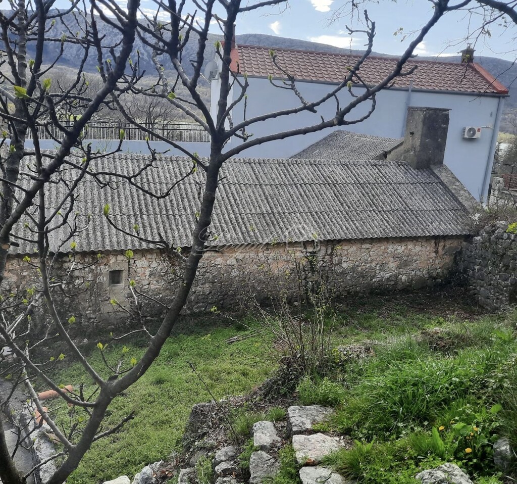 Image 6243484 - 5