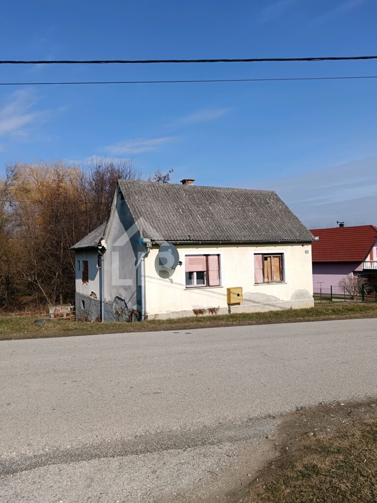 Image 6243486 - 1