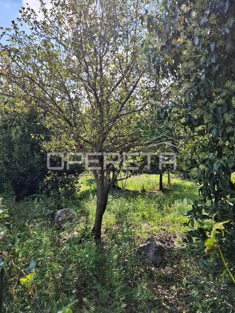 Image 6243587 - 9