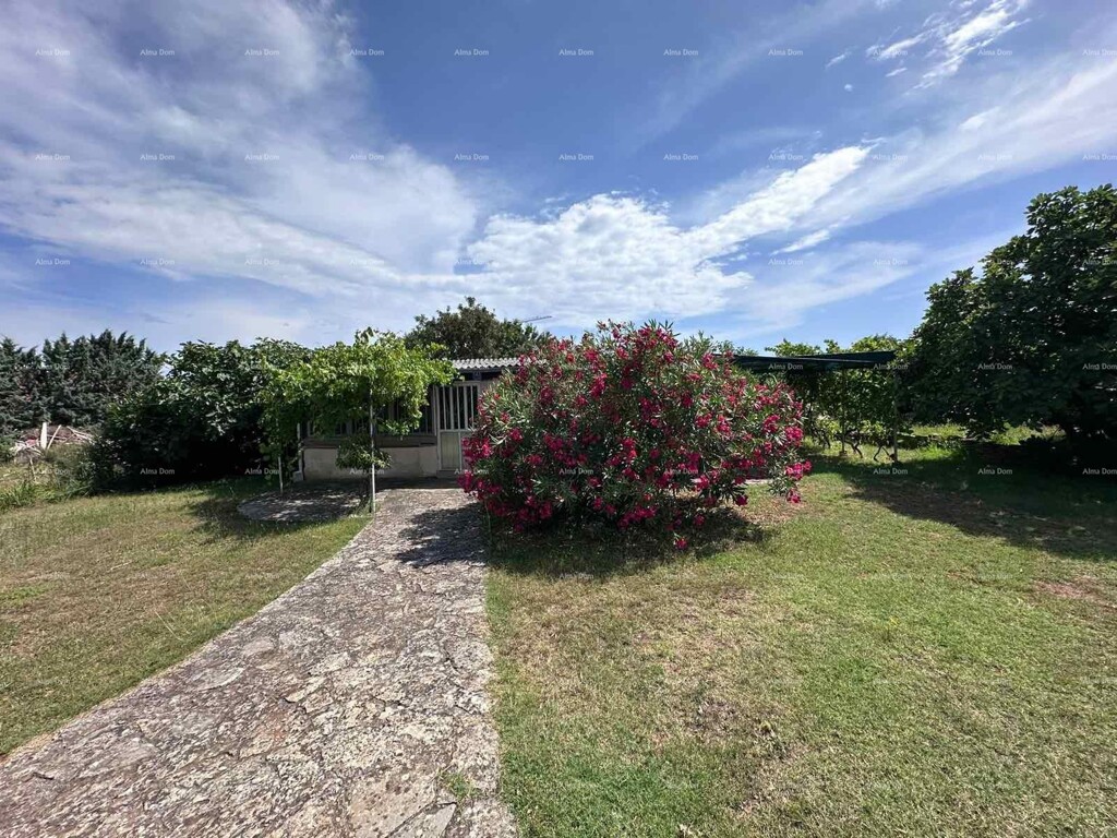 Image 6243611 - 16