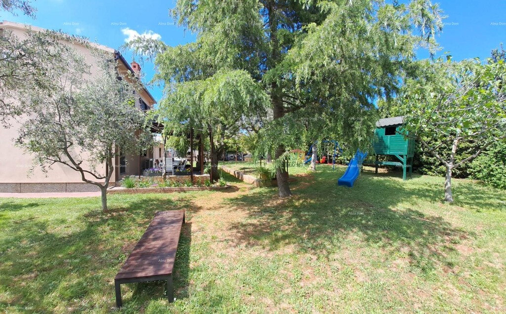 Image 6243613 - 15