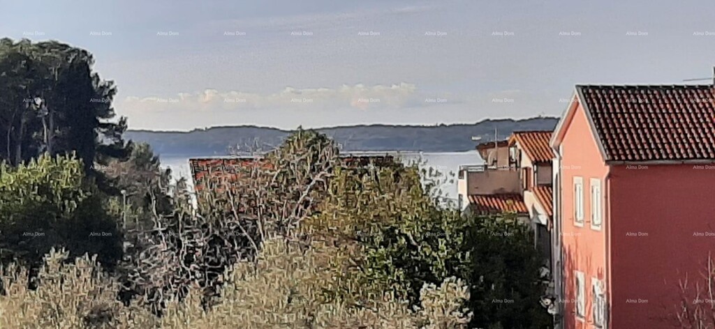 Image 6243613 - 3