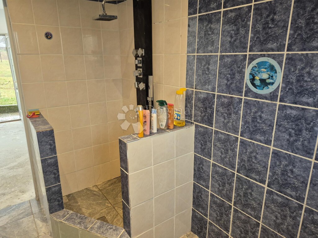 Image 6243680 - 5