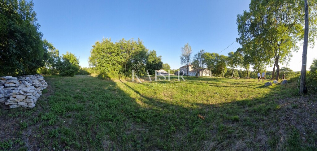 Image 6243695 - 2