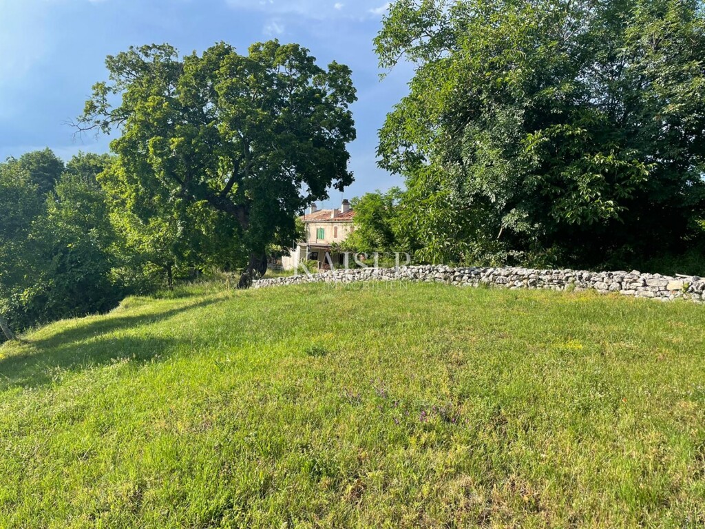 Image 6243695 - 1