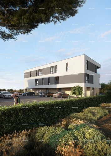 Thumbnail 6244037 - 8