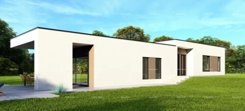 Thumbnail 6244053 - 5