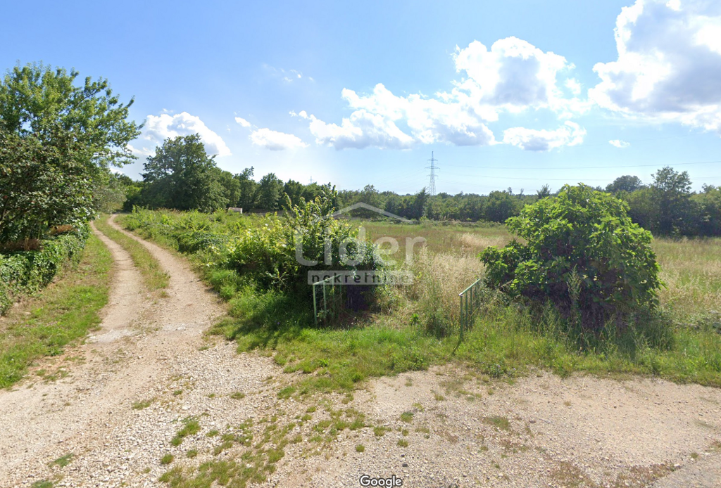 Image 6244298 - 2