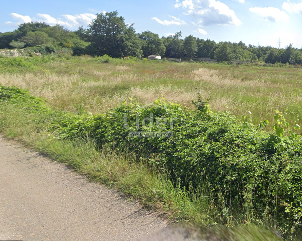 Image 6244298 - 1