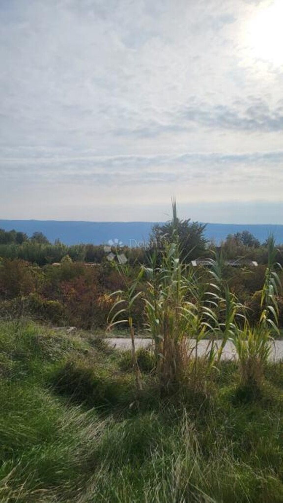 Image 6244308 - 7