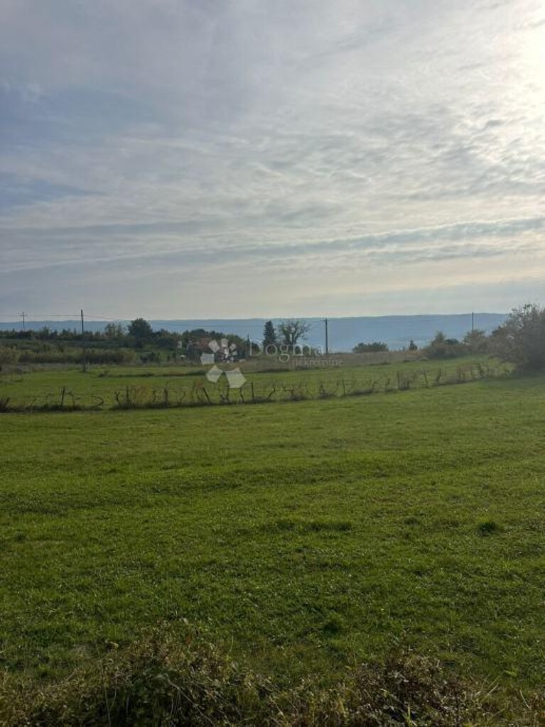 Image 6244308 - 1