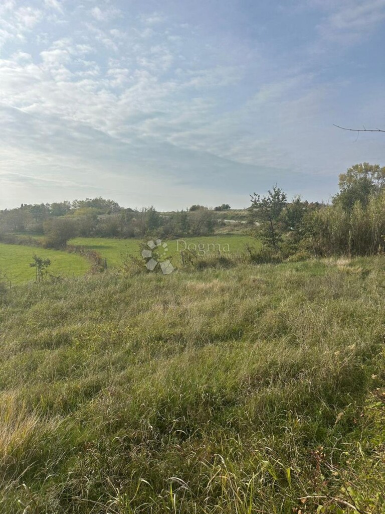 Image 6244308 - 5