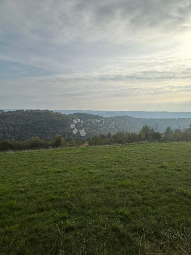 Image 6244308 - 3