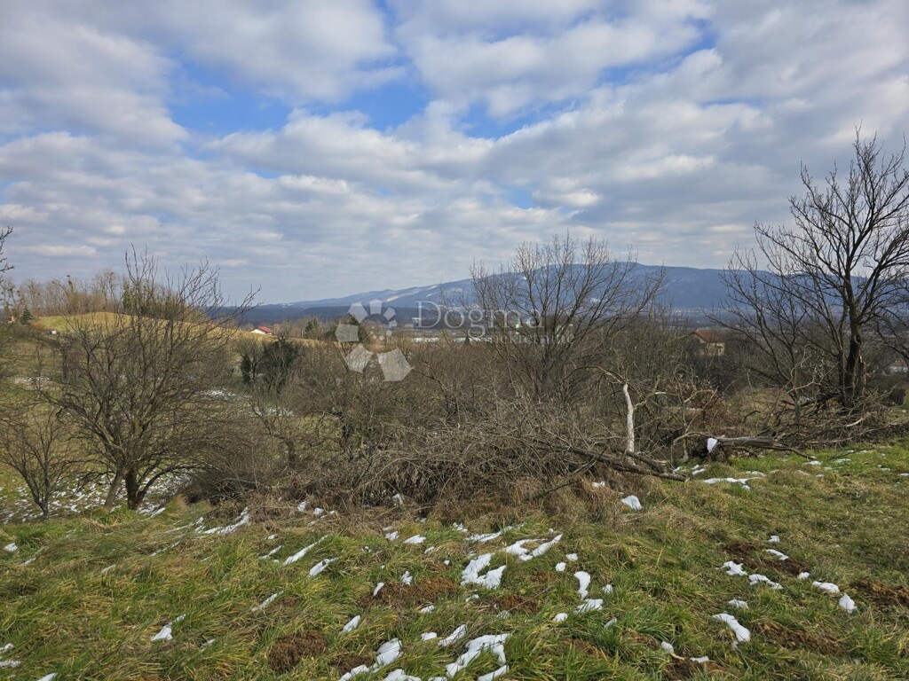 Image 6244318 - 10
